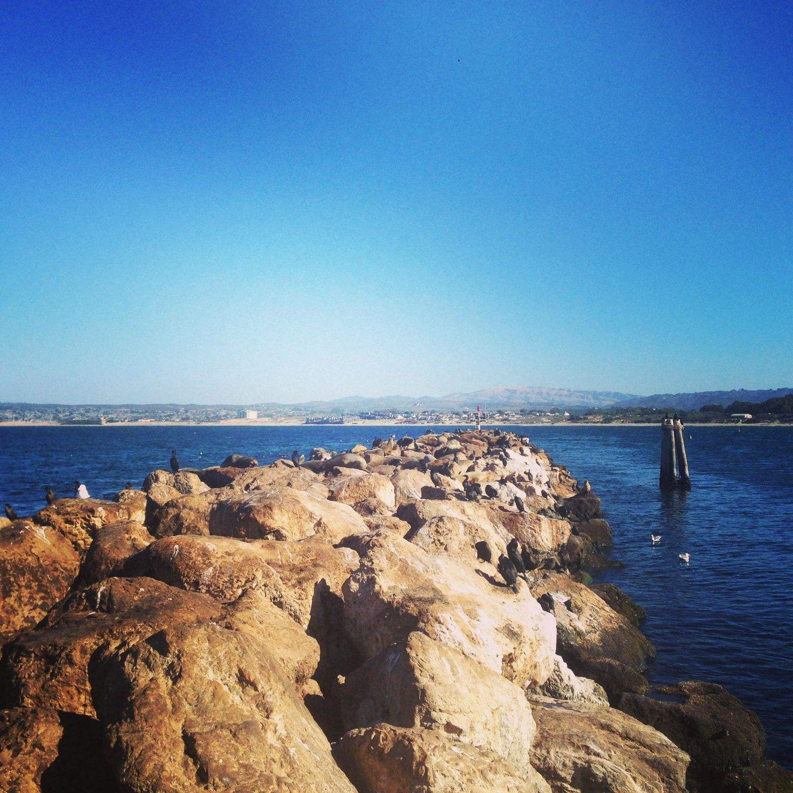  p>下加利福尼亚半岛位于 a href="#" data-lemmaid="255798">墨西哥 