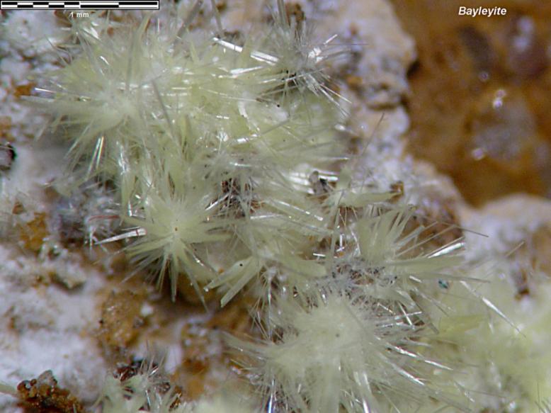  p>重铀酸钠,俗称 a target="_blank" href="/item/黄蛋糕/6122435"