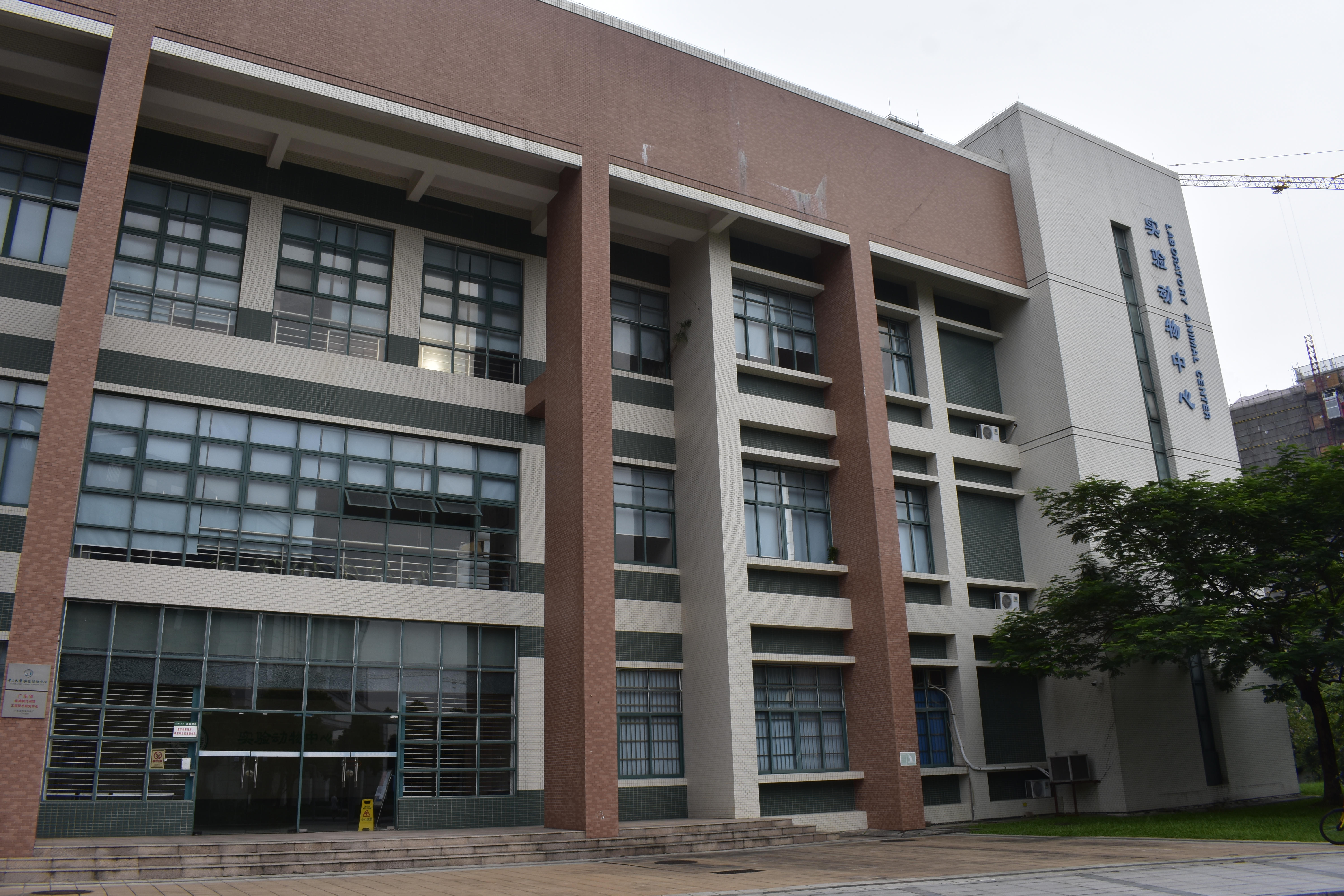 中山大学