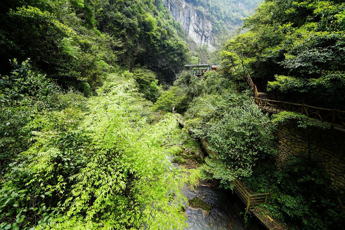 一指峡谷