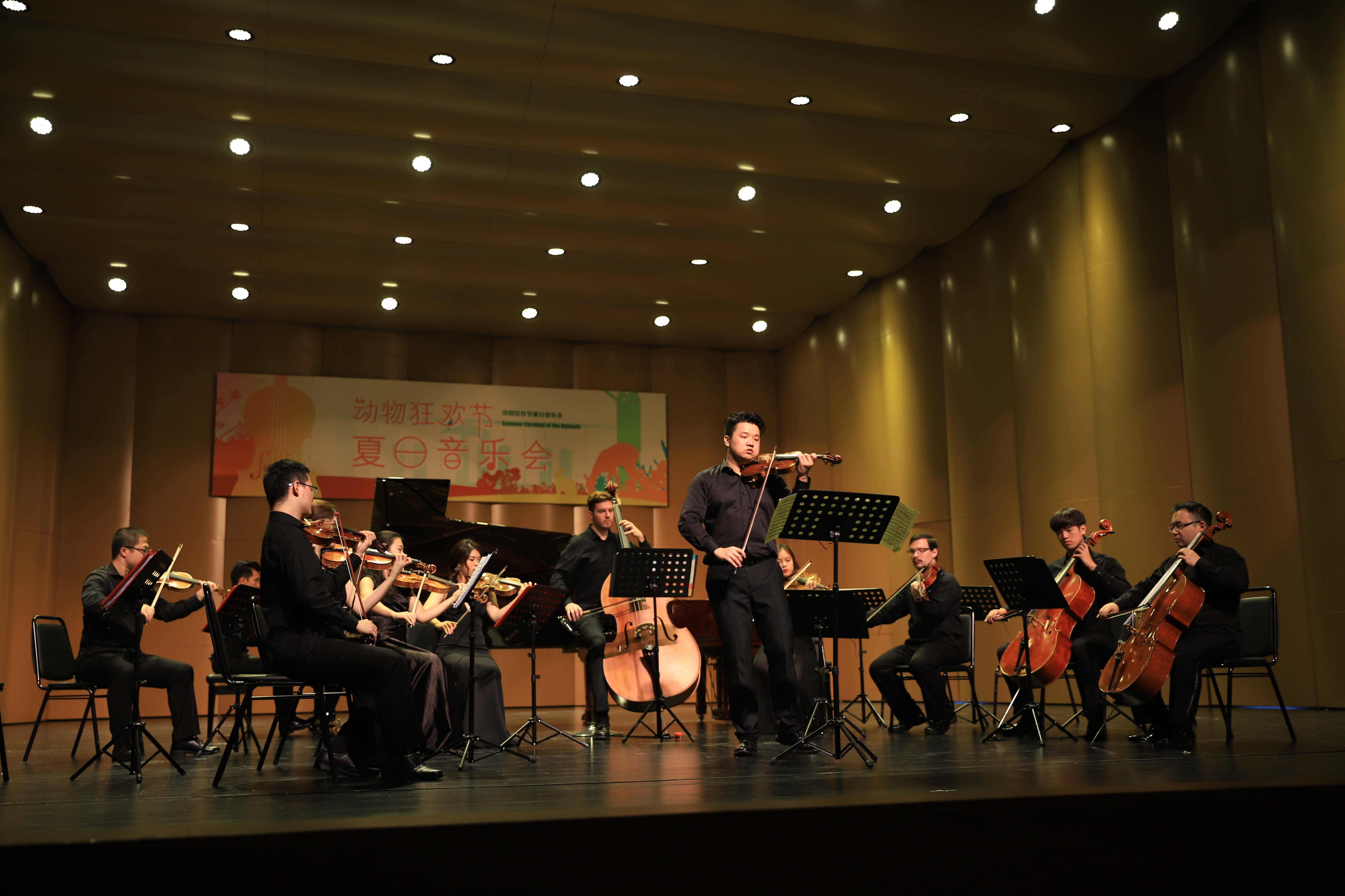 辛视界室内乐团