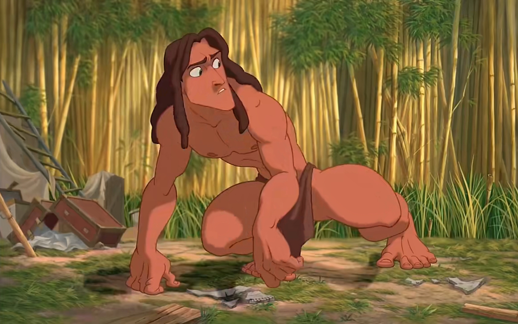 又称"人猿泰山",为美国华特迪士尼公司动画电影《泰山》中的主人公,是