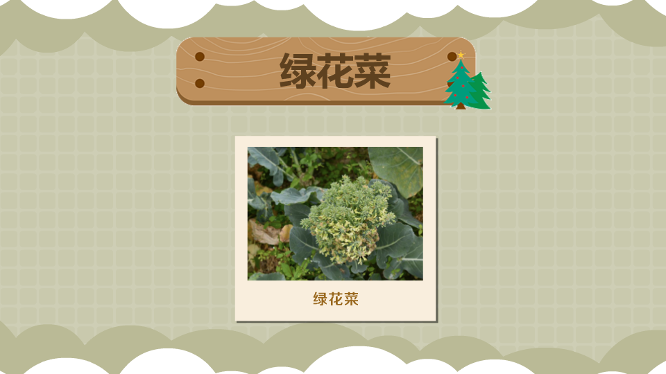 绿花菜:具有特殊保健作用的食用植物