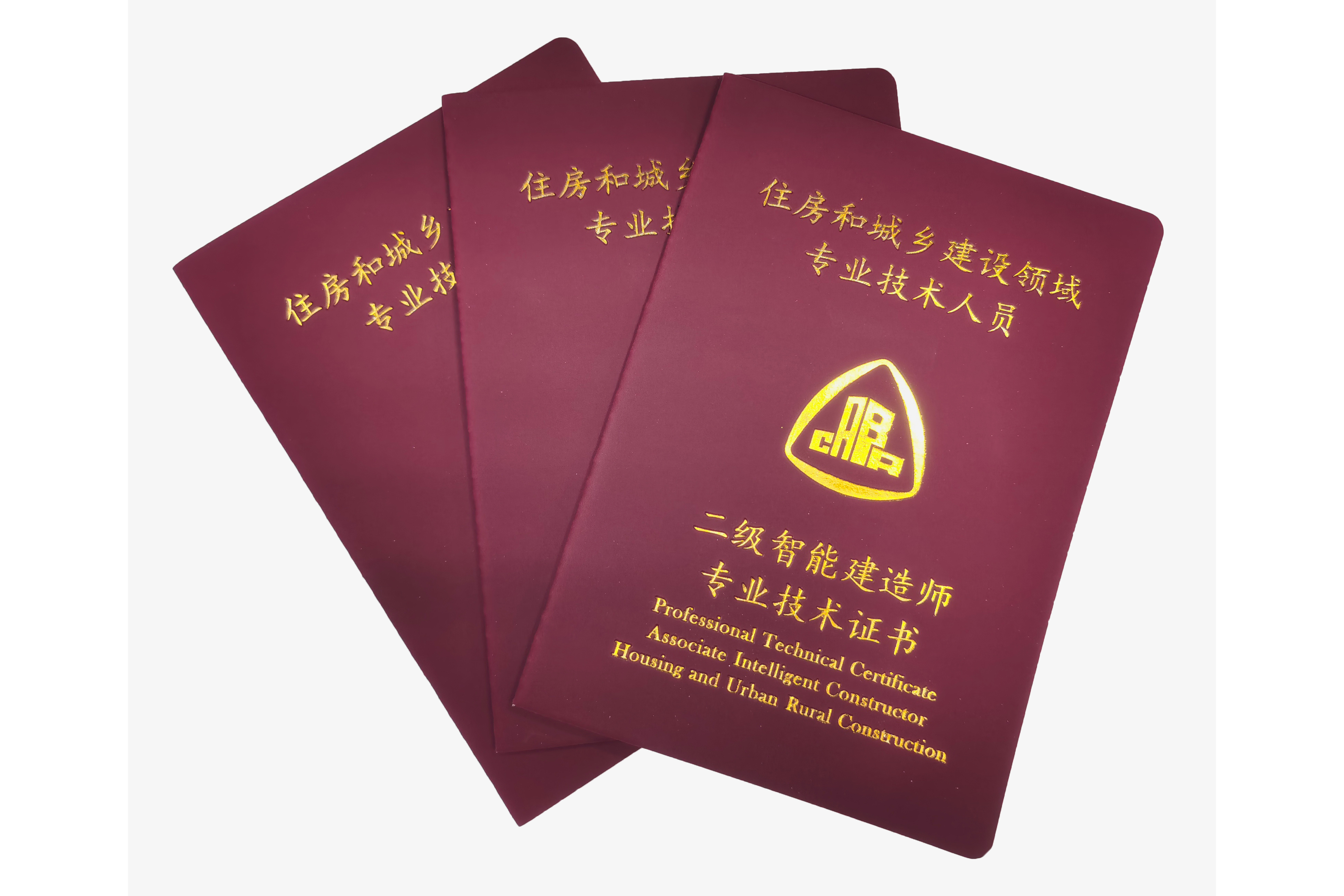  p>二级智能建造师指以 a target="_blank" href="/item/土木工程专业