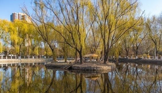 呼和浩特市植物园