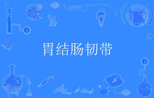 胃结肠韧带_百度百科