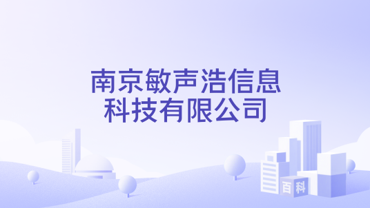 南京敏声浩信息科技有限公司_百度百科