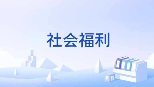 社会福利（福利制度）_百度百科