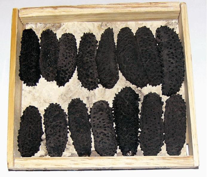 黑参和红参区别明显，别再傻傻分不清了_百科TA说
