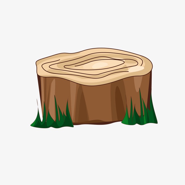 大树桩你有几岁