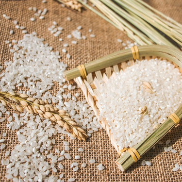  p data-id="gnx1x22x2v">平坝大米,贵州省 a target="_blank" href="