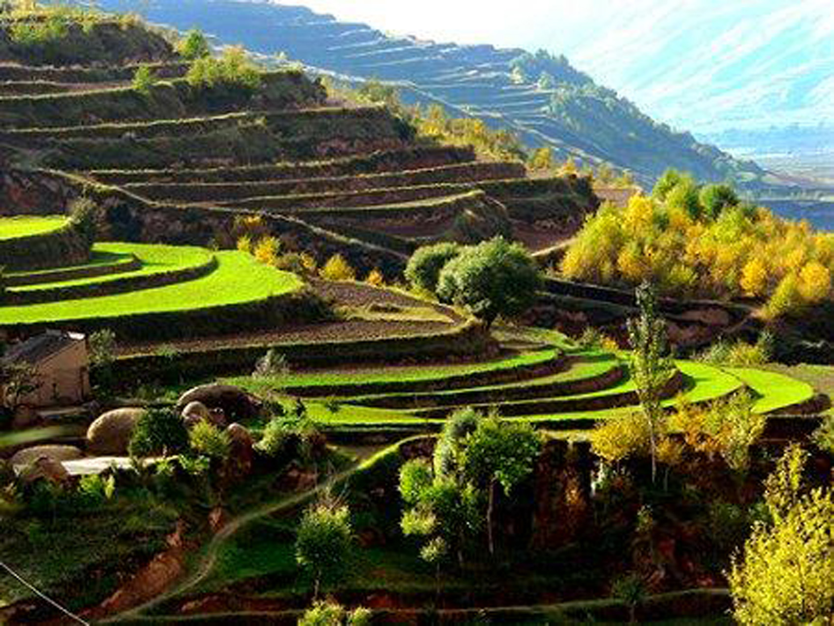  p>龙沼镇,隶属于吉林省白城市 a target="_blank" href="/item/大安