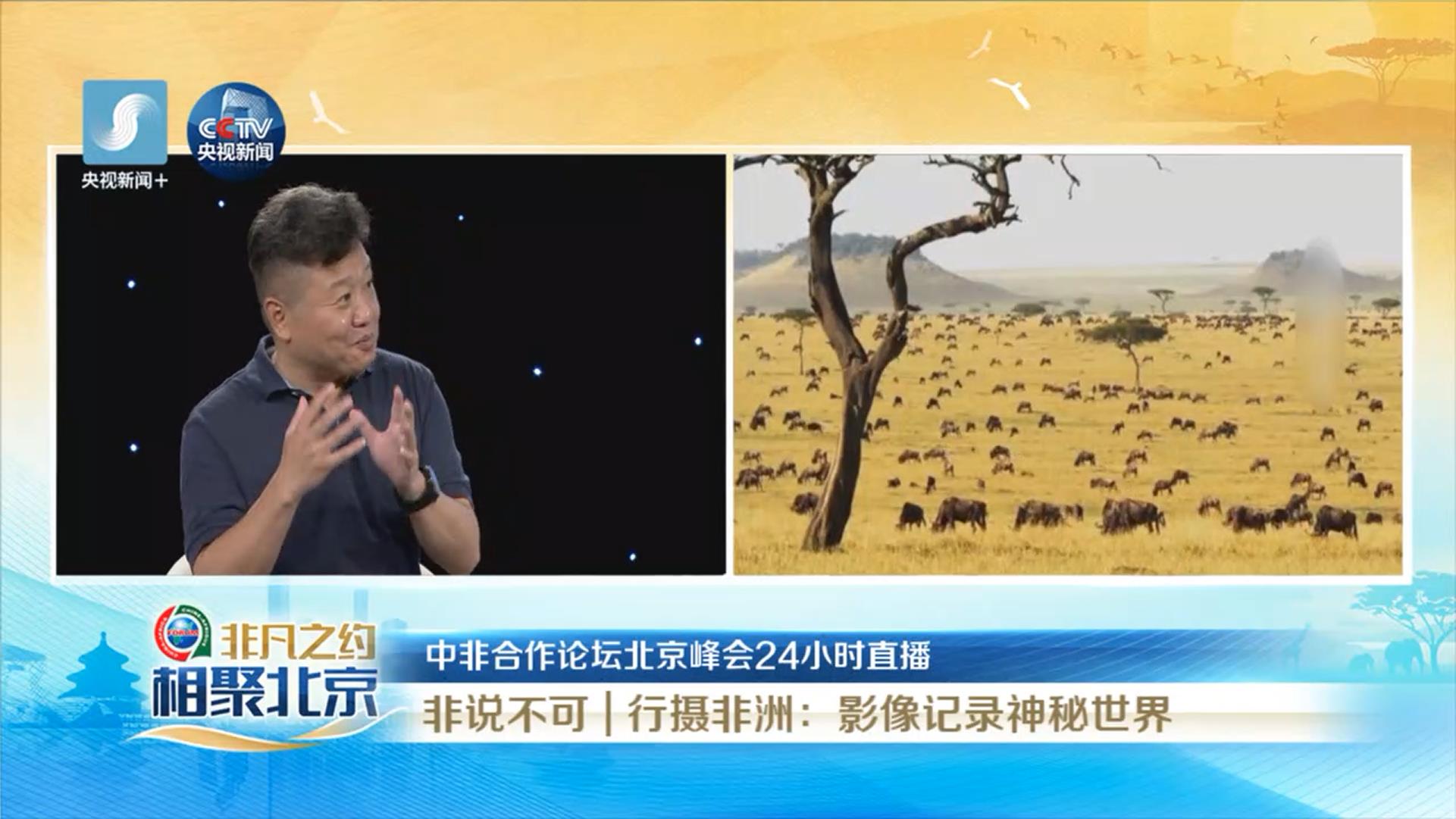 陈志文