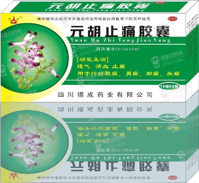 四川锡成药业有限公司