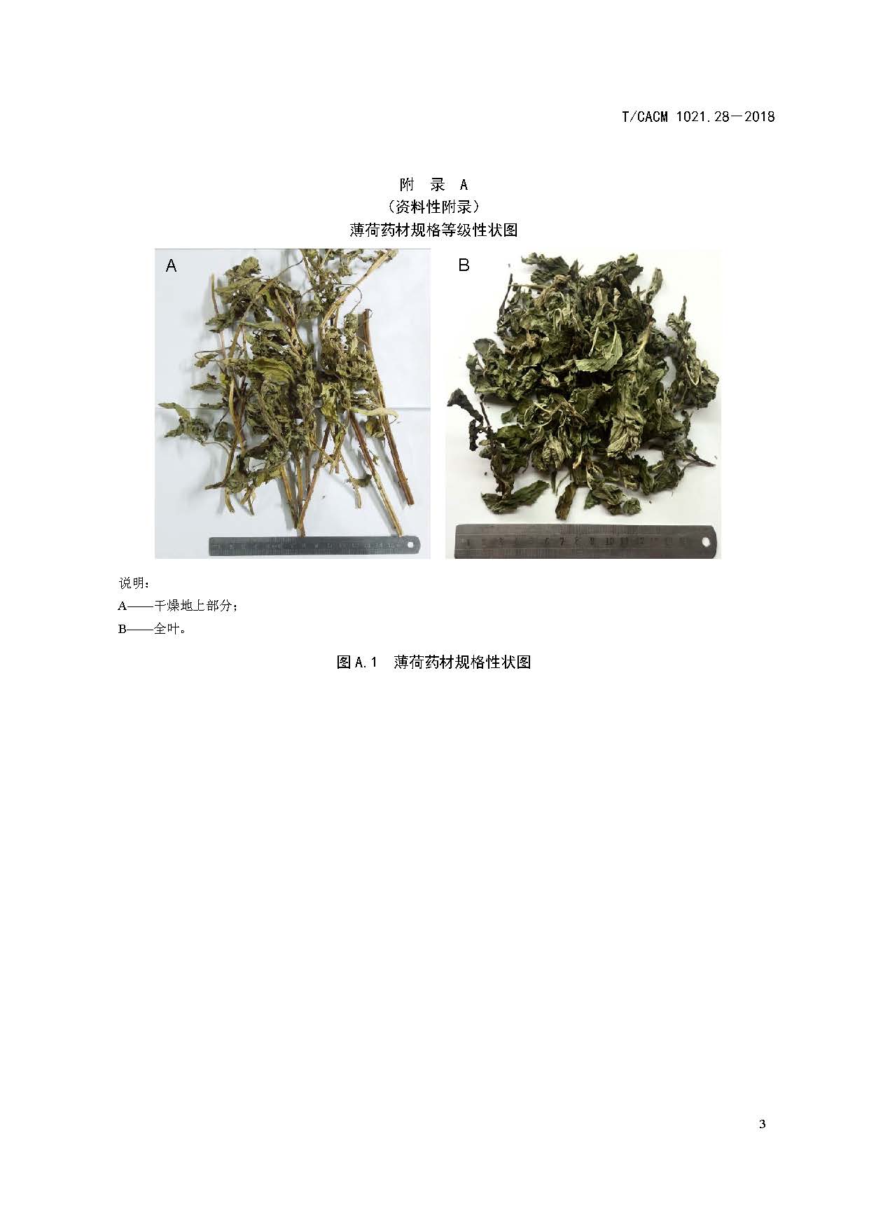  p>《中药材商品规格等级—薄荷》(t/cacm 1021.