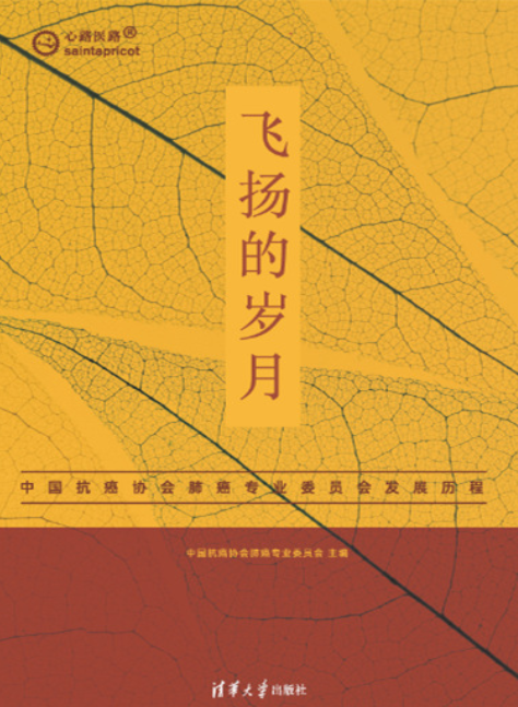 岁月飞阳