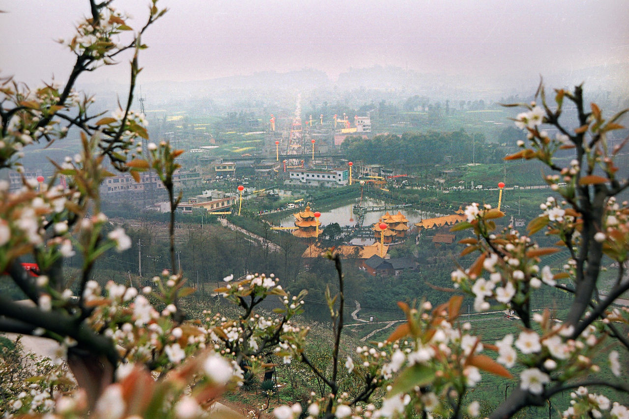 位于禄市镇东部,距华蓥市政府所在地蓥城仅10公里,全村有6个组的村民