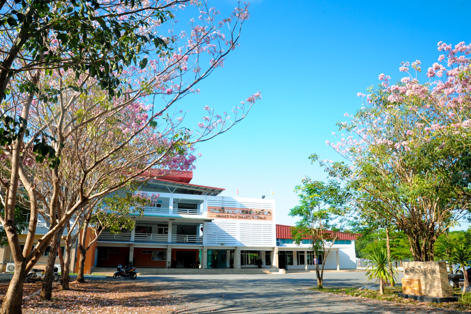是泰国的第一所农业高等国立教育学院,泰国前五国立大学