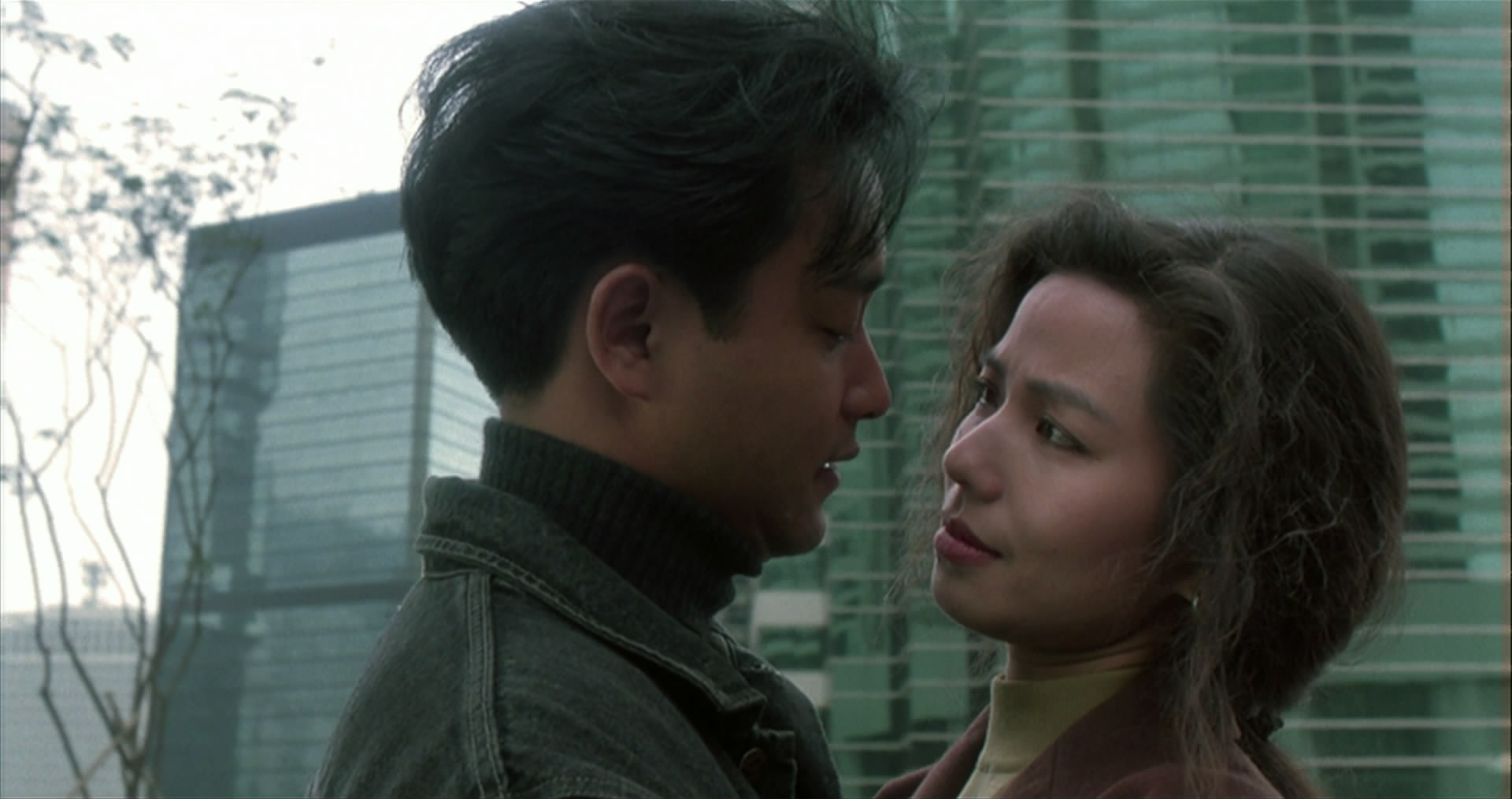 纵横四海/纵横天下