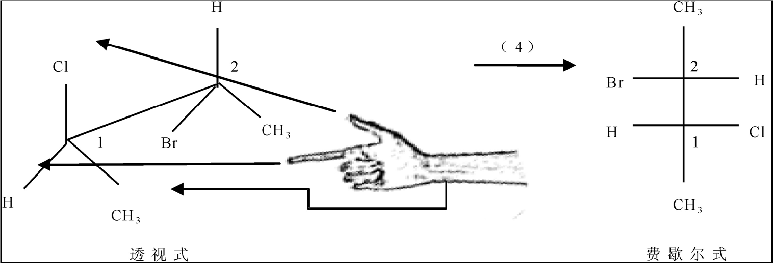 埃米尔·费歇尔 /a>(hermann emil fischer)为使得书写含手性碳原子的