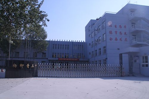 杨柳青第三中学