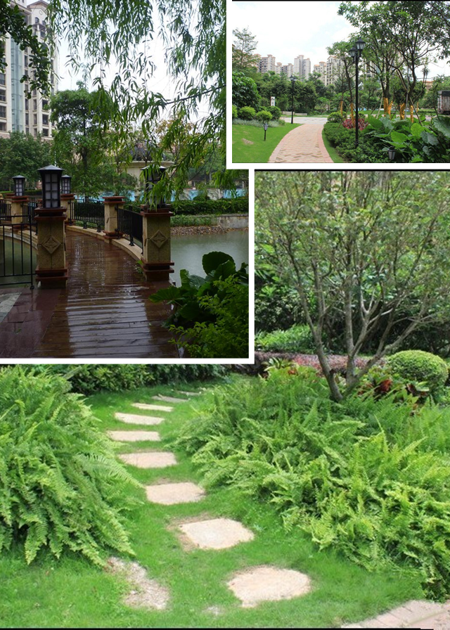 东莞中惠香樟绿洲