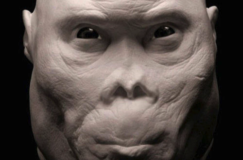  p>乍得沙赫人(sahelanthropus tchadensis),又名乍得人猿,是一种只有