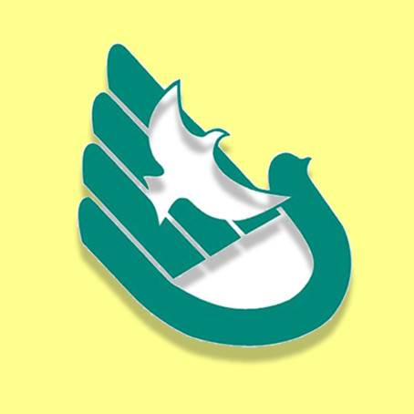 the affiliated high school of south china normal university