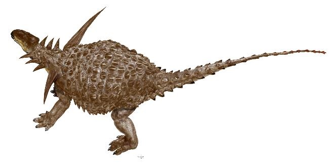 是结节龙科 a target="_blank" href="/item/恐龙/139019" data-lemma