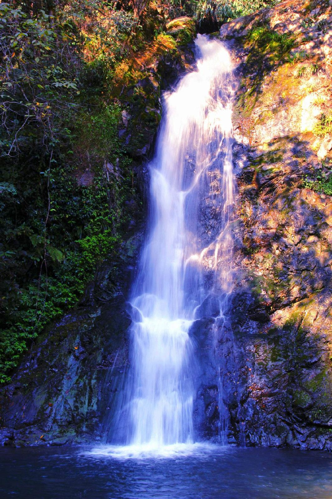 target="_blank" href="/item/清流县/39275" data-lemmaid="39275">