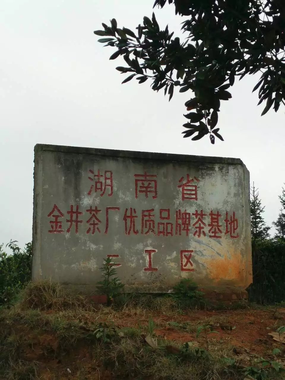  p>金井镇属 a href="#" data-lemmaid="293174">湖南省 /a>长沙县