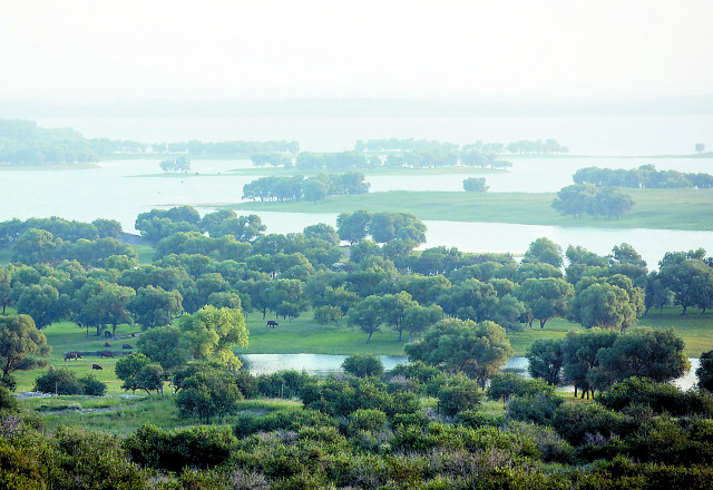  p>通榆县,隶属于白城市,位于吉林省西部, a target="_blank" href="