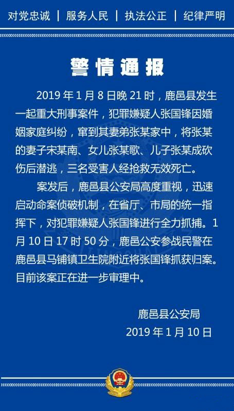 1·8河南省鹿邑县鹿邑杀人案