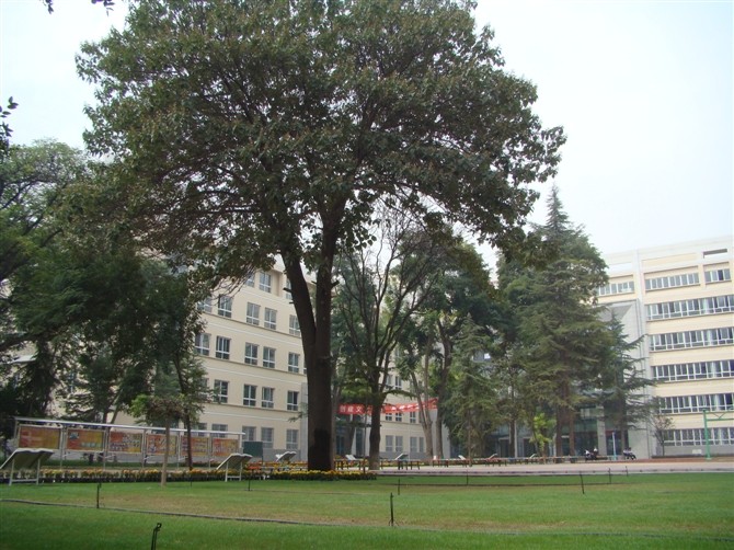 兰州市第二十七中学