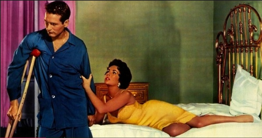 热铁皮屋顶上的猫