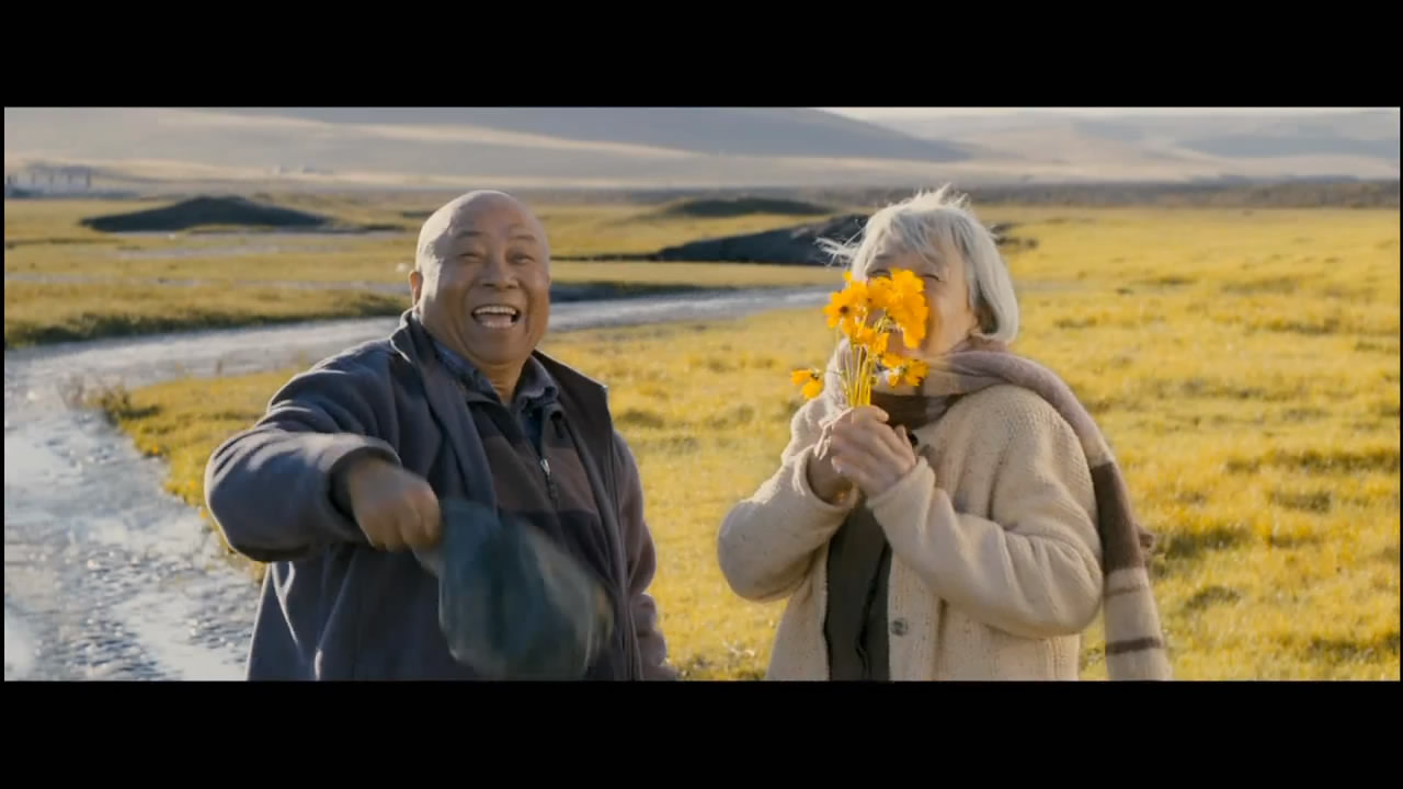  p>《飞越老人院》由 a href="#" data-lemmaid="18141987">张杨 /a>