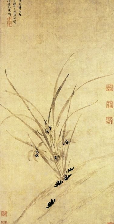 明周天球兰花图