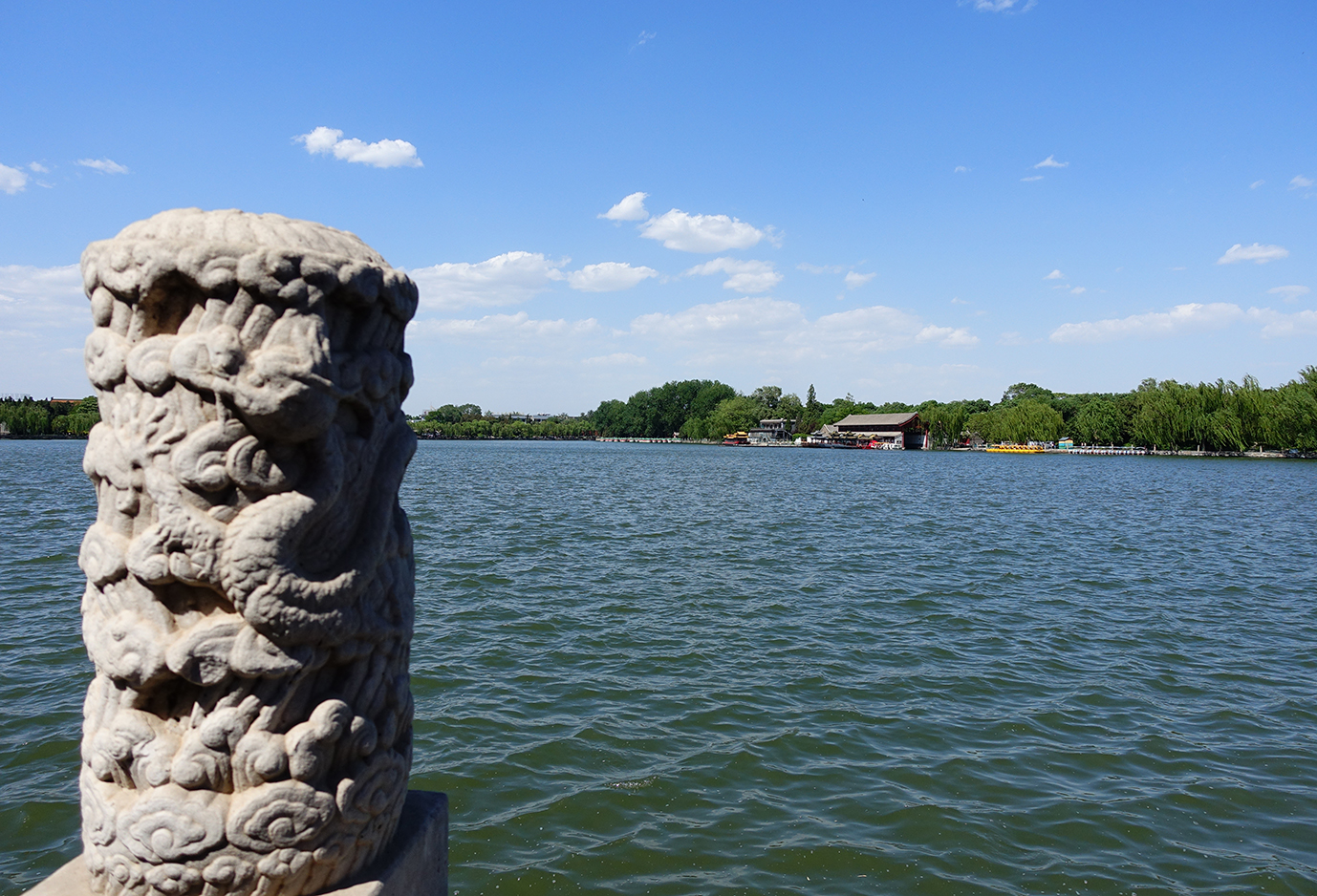 北海公园荷花展