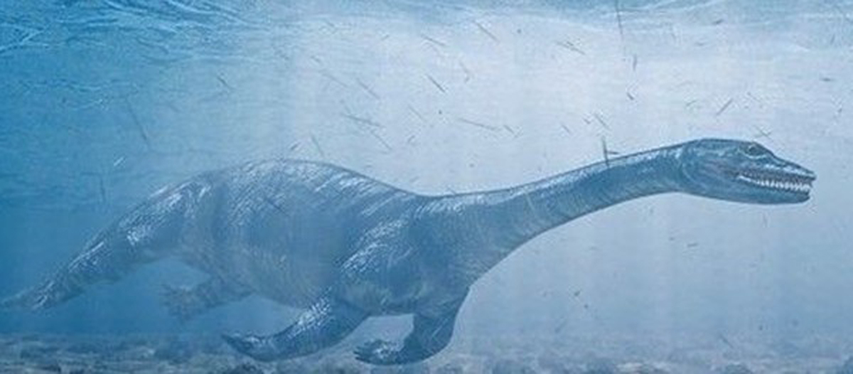  p>东方恐头龙(dinocephalosaurus orientalis )是