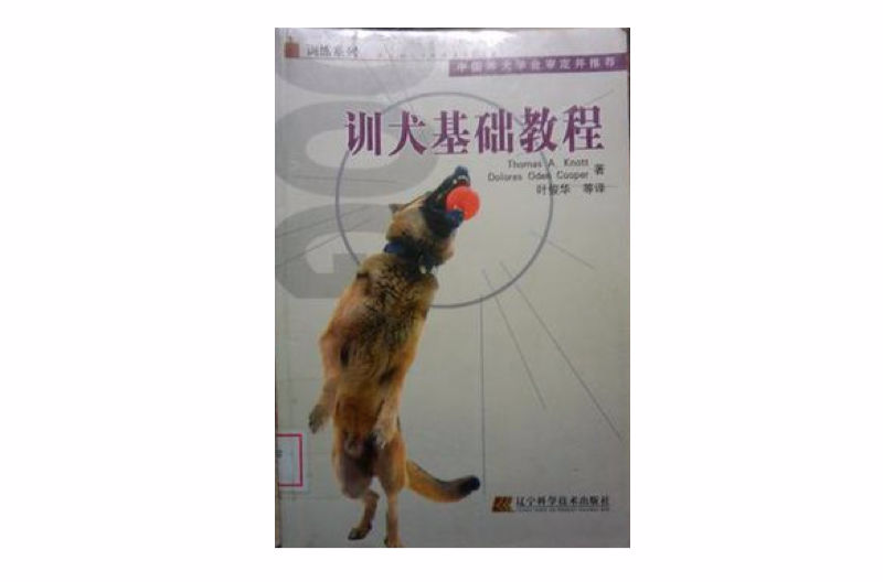 训犬基础教程