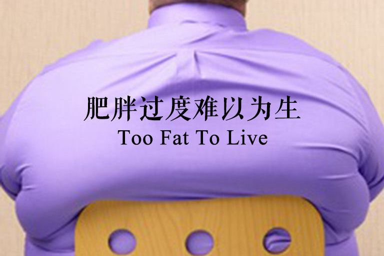  p>    《肥胖过度难以为生》是一部纪录片,共1集,播放平台为腾讯视频