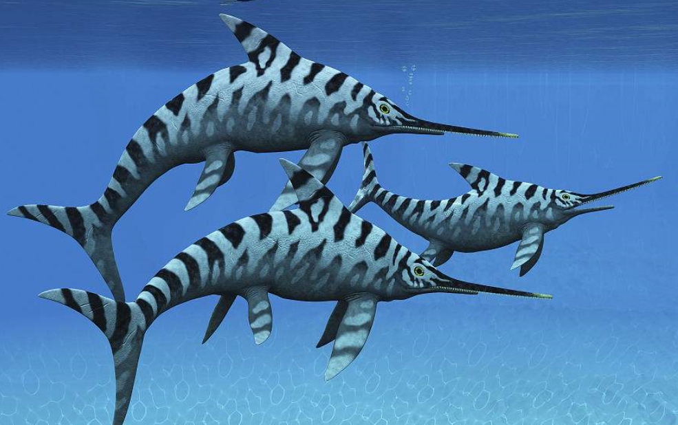  p>蛇嘴鱼龙科(学名:leptopterygiidae)是鱼龙目的一科,体型中至小型