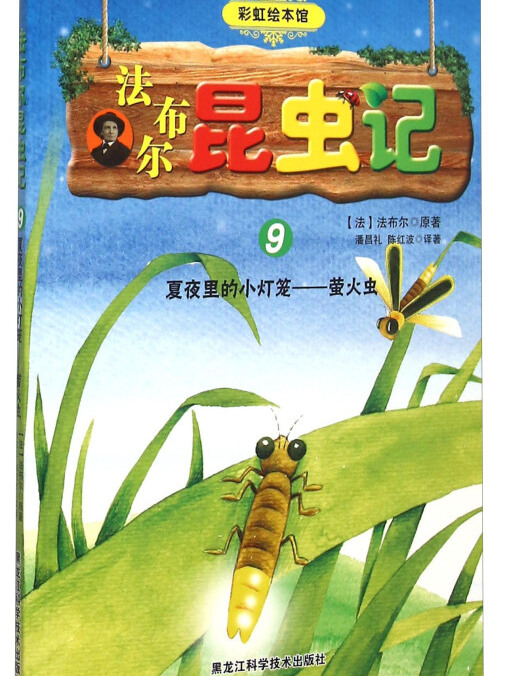 法布尔昆虫记9 夏夜里的小灯笼萤火虫