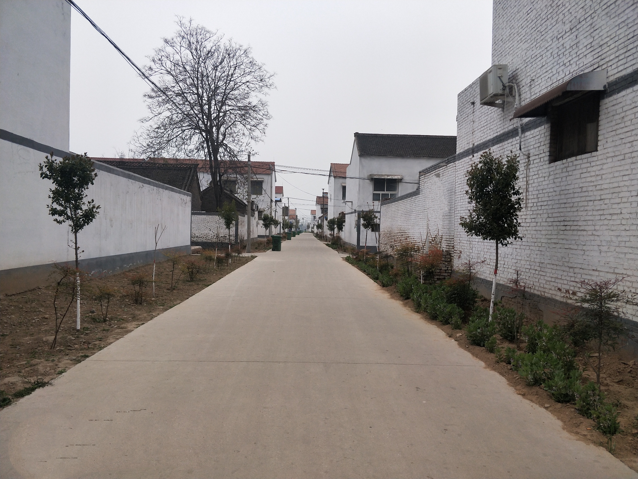  p data-id="gn3tls93om">铁坡村是河南省封丘县应举镇下辖的一个自然