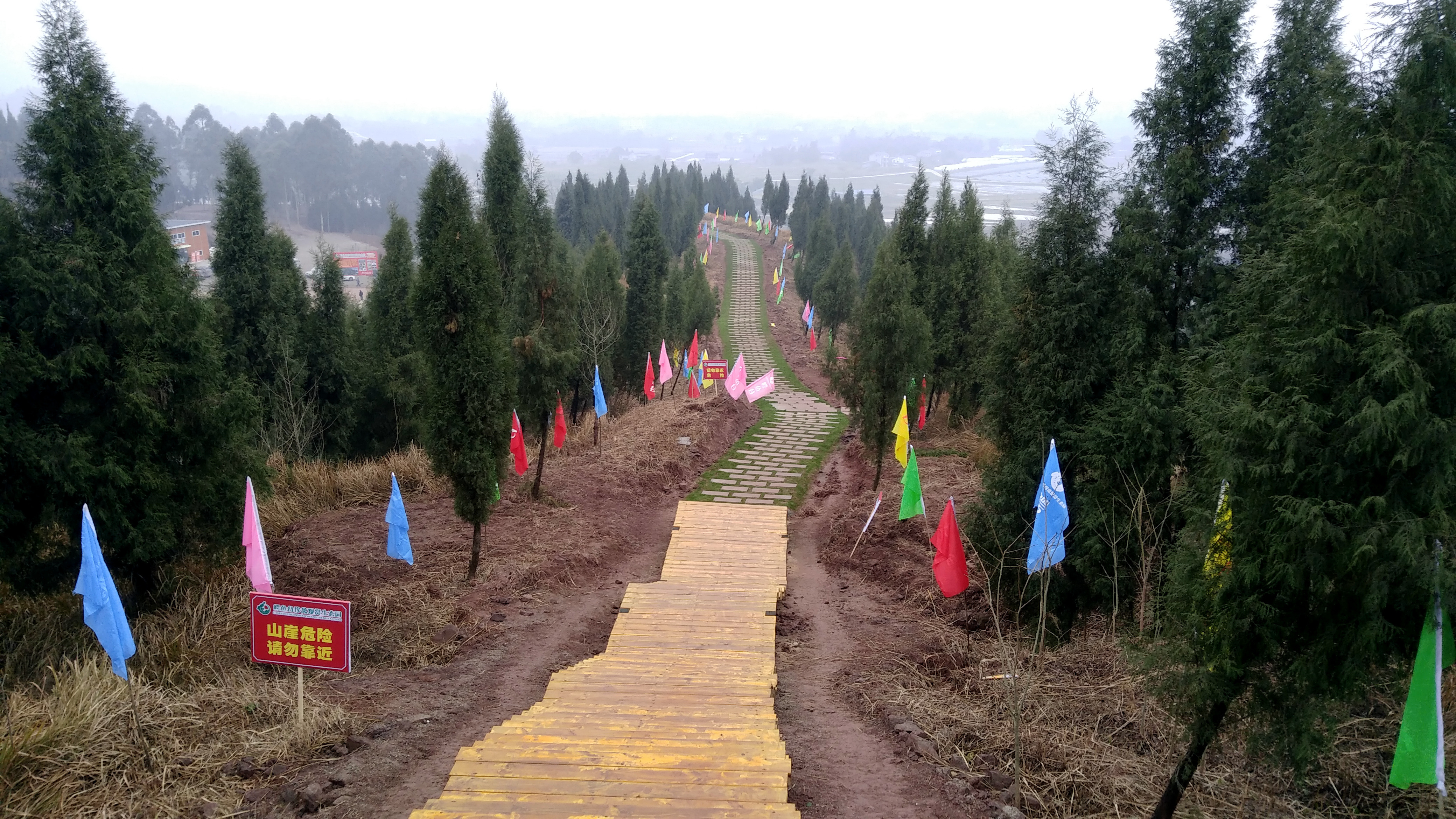 data-lemmaid="15626925">四川省 /a>广安市岳池县,地处 a target="