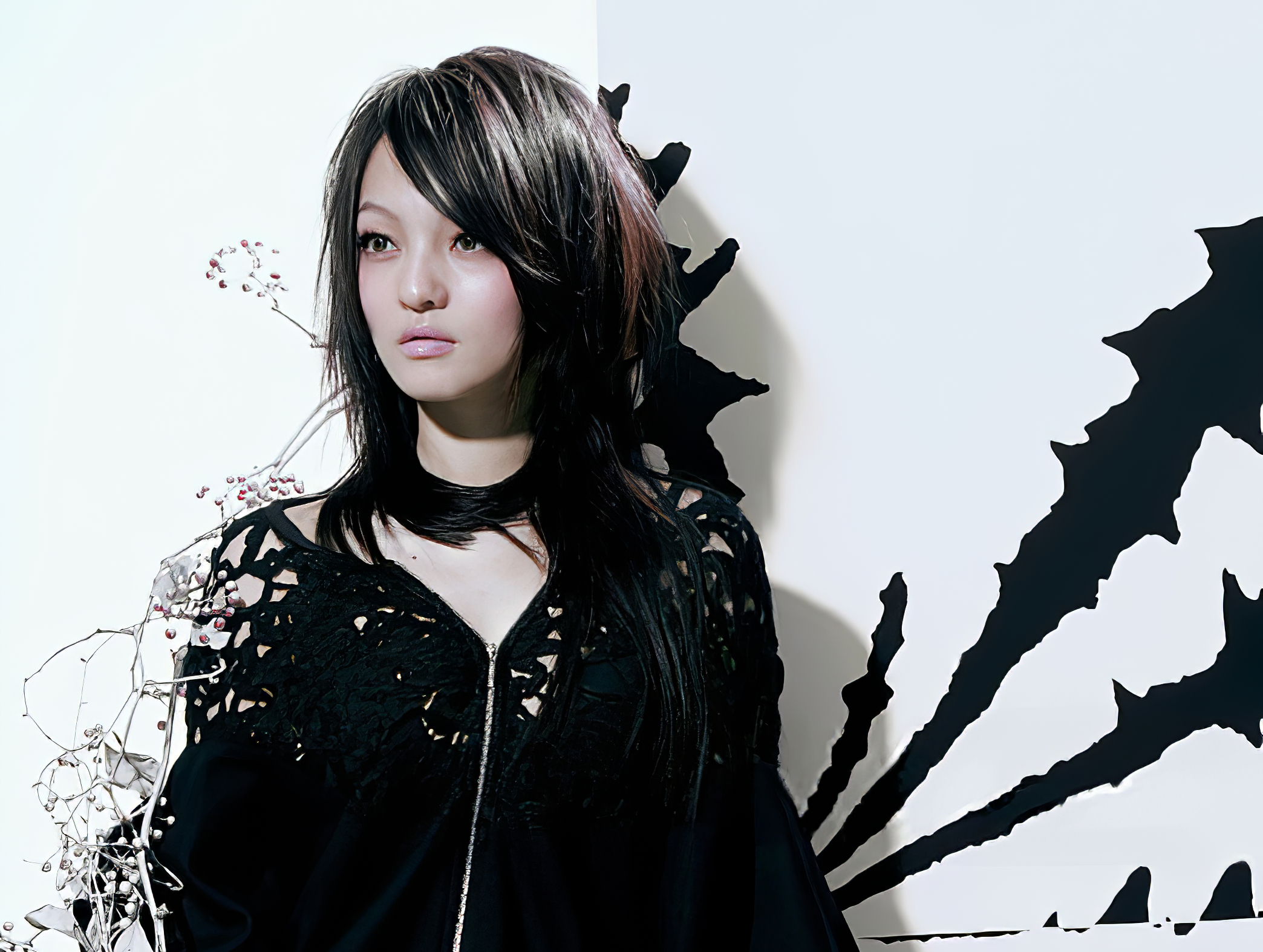 data-lemmaid="148008">张韶涵 /a>发行的个人第四张录音室专辑,于