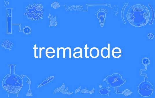 trematode_百度百科