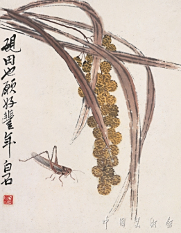 谷子蚂蚱