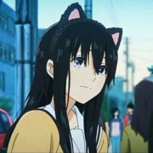 植野直花 百度百科