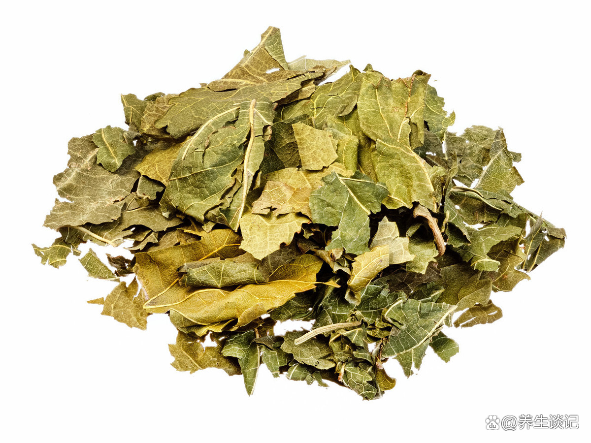 桑叶制茶泡水喝，简单又方便，坚持喝益处良多_百科TA说